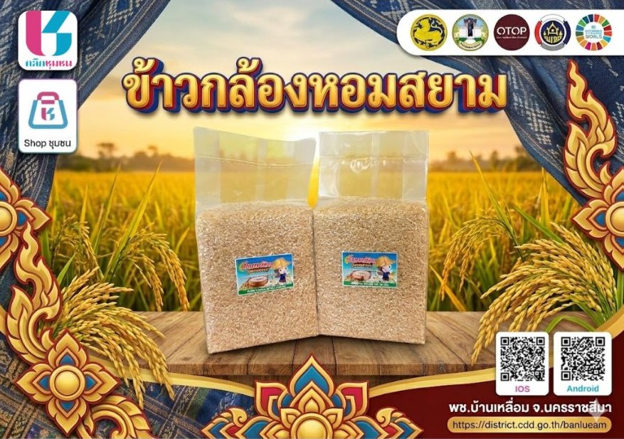 พบกับผลิตภัณฑ์ข้าวกล้องหอมสยาม จากผู้ผลิตชุมชนที่เป็นเจ้าของรายเดียว นางสาวมัลลิกา หวังฟังกลาง หมู่ที่ 3 ตำบลวังโพธิ์ อำเภอบ้านเหลื่อม